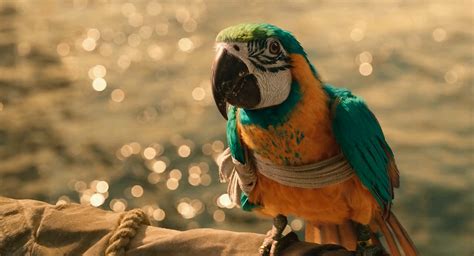 Dolittle (2020) 720p BluRay x264 ESub [Dual Line Audio] [Hindi .
